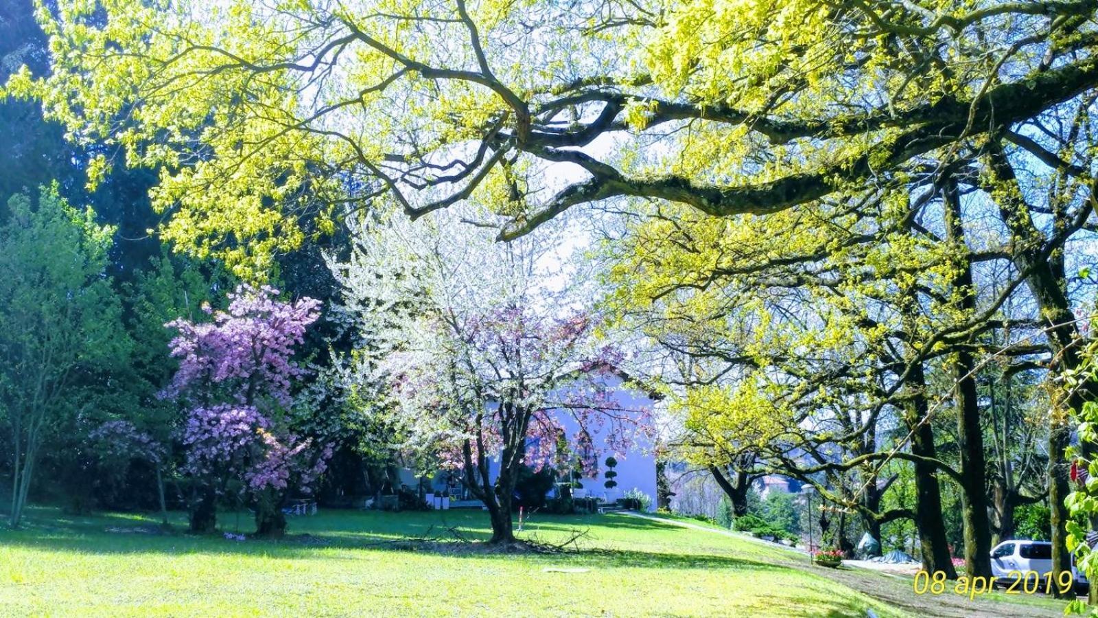 La Selvetta bed&breakfast Buguggiate Eksteriør bilde