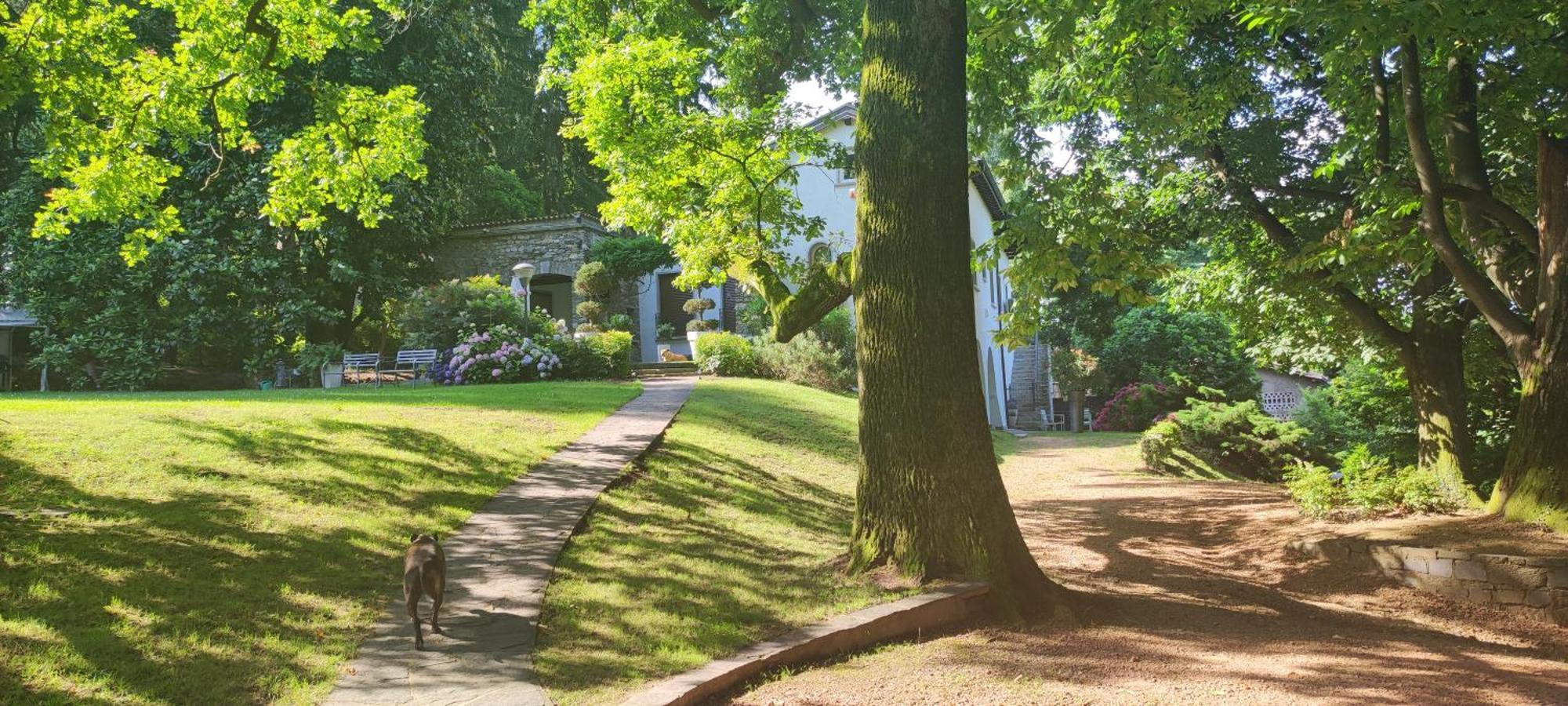 La Selvetta bed&breakfast Buguggiate Eksteriør bilde